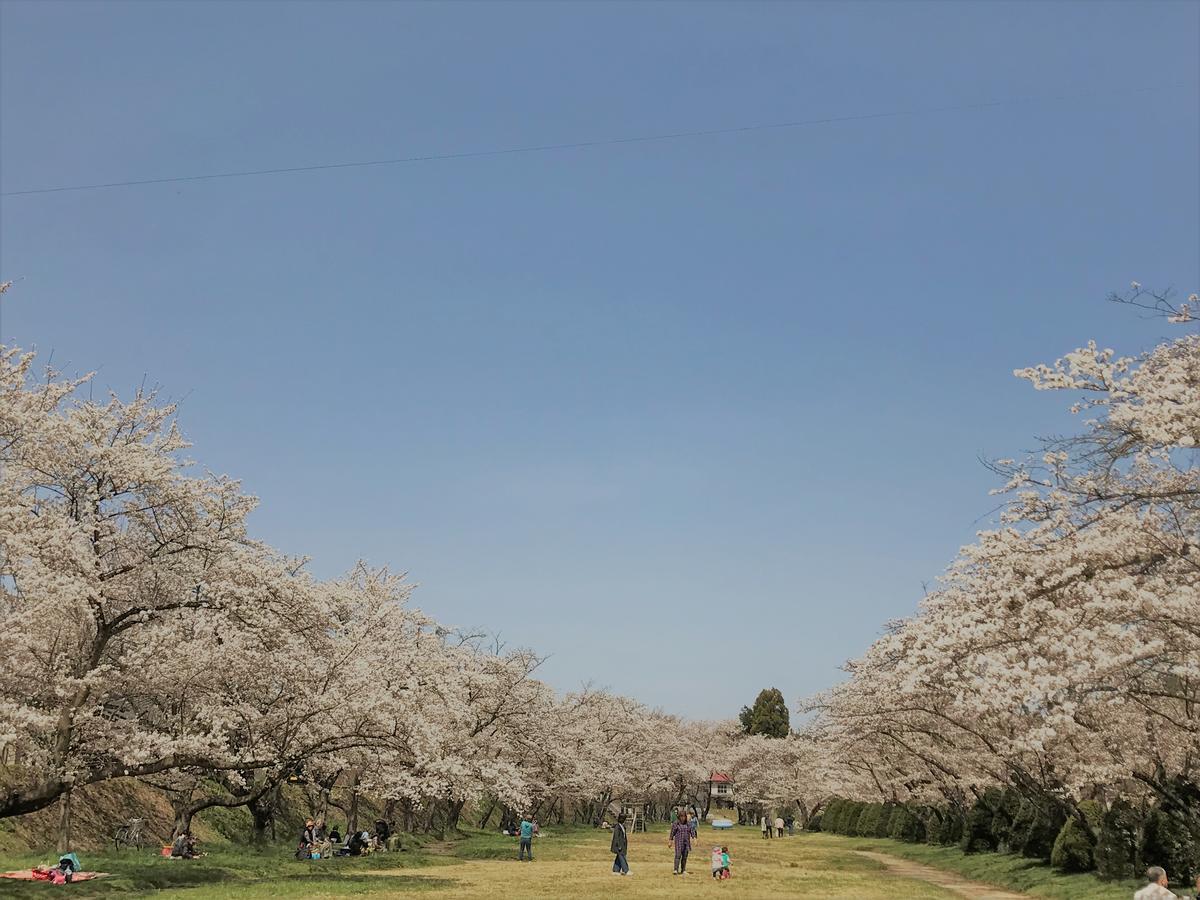 Guesthouse Daruma Takayama  Bagian luar foto